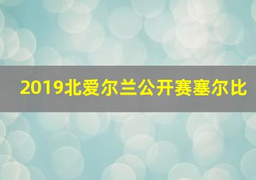 2019北爱尔兰公开赛塞尔比