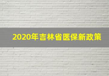 2020年吉林省医保新政策