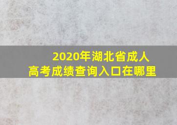 2020年湖北省成人高考成绩查询入口在哪里