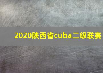 2020陕西省cuba二级联赛