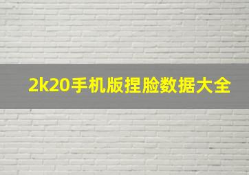 2k20手机版捏脸数据大全