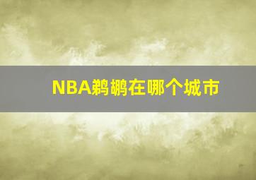 NBA鹈鹕在哪个城市