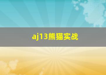 aj13熊猫实战