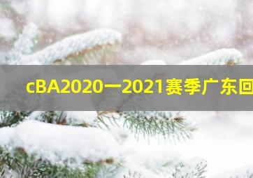 cBA2020一2021赛季广东回放