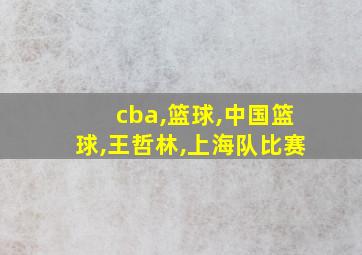 cba,篮球,中国篮球,王哲林,上海队比赛