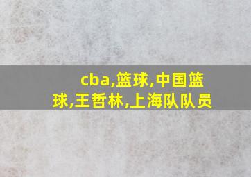 cba,篮球,中国篮球,王哲林,上海队队员