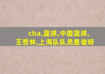 cba,篮球,中国篮球,王哲林,上海队队员是谁呀