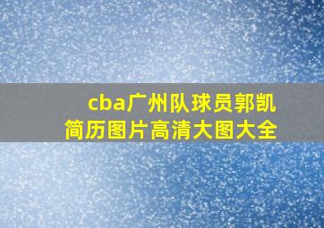 cba广州队球员郭凯简历图片高清大图大全