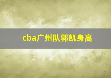 cba广州队郭凯身高