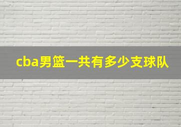 cba男篮一共有多少支球队