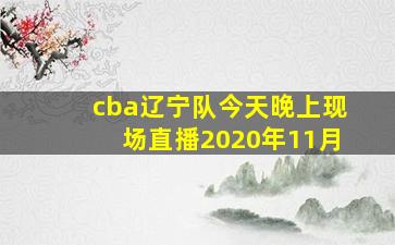 cba辽宁队今天晚上现场直播2020年11月