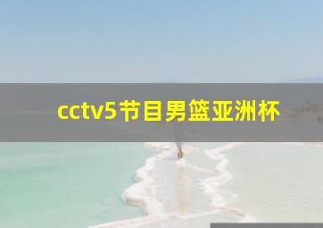 cctv5节目男篮亚洲杯