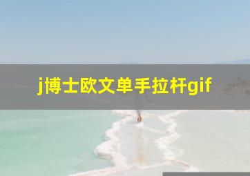 j博士欧文单手拉杆gif