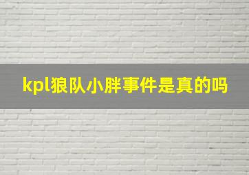 kpl狼队小胖事件是真的吗