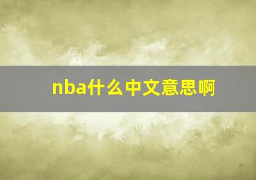 nba什么中文意思啊