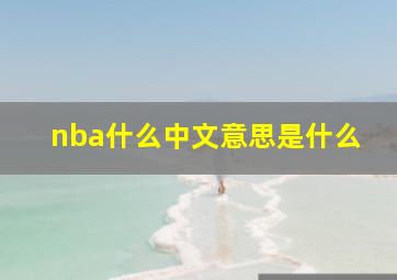 nba什么中文意思是什么