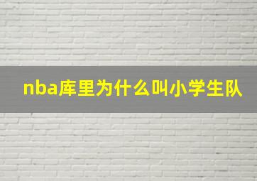 nba库里为什么叫小学生队