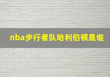 nba步行者队哈利伯顿是谁