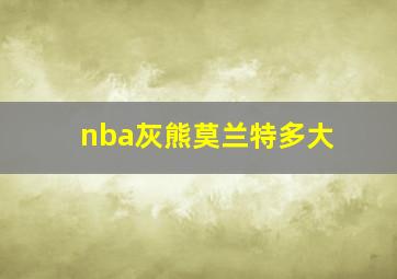 nba灰熊莫兰特多大