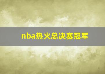 nba热火总决赛冠军