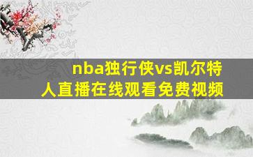 nba独行侠vs凯尔特人直播在线观看免费视频