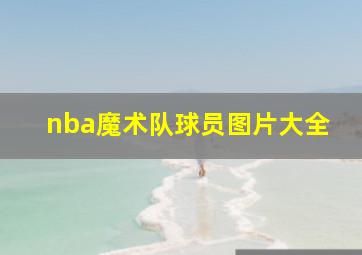 nba魔术队球员图片大全