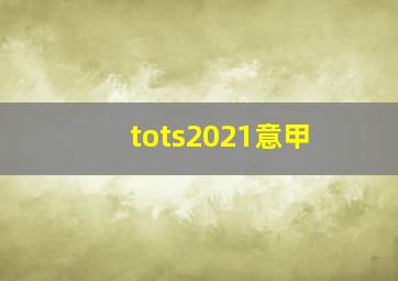 tots2021意甲