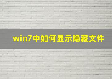 win7中如何显示隐藏文件