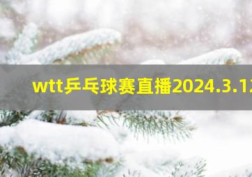 wtt乒乓球赛直播2024.3.12