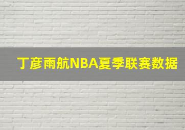 丁彦雨航NBA夏季联赛数据