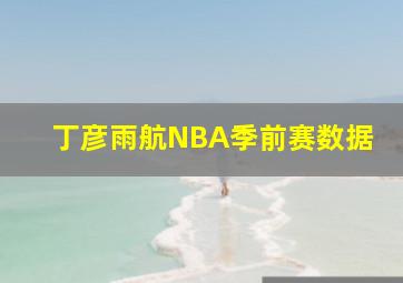 丁彦雨航NBA季前赛数据