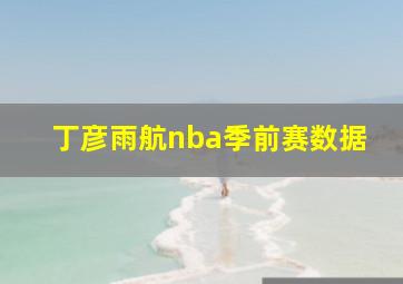 丁彦雨航nba季前赛数据