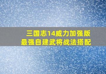 三国志14威力加强版最强自建武将战法搭配