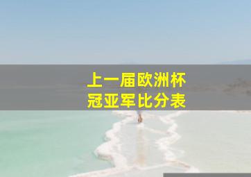 上一届欧洲杯冠亚军比分表