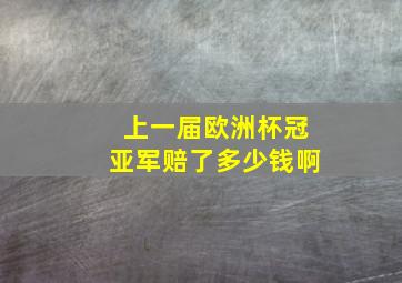 上一届欧洲杯冠亚军赔了多少钱啊