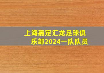 上海嘉定汇龙足球俱乐部2024一队队员