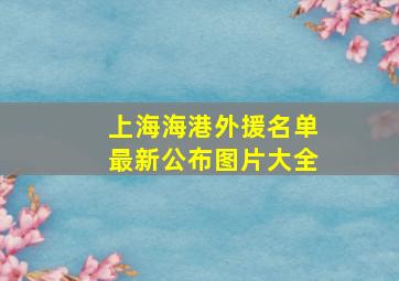 上海海港外援名单最新公布图片大全