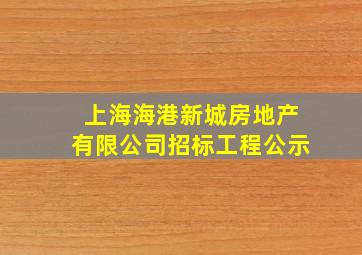 上海海港新城房地产有限公司招标工程公示