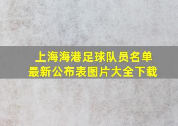 上海海港足球队员名单最新公布表图片大全下载