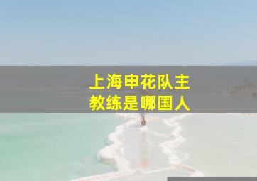 上海申花队主教练是哪国人