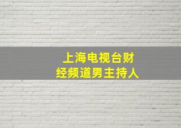 上海电视台财经频道男主持人