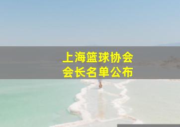 上海篮球协会会长名单公布