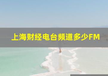 上海财经电台频道多少FM