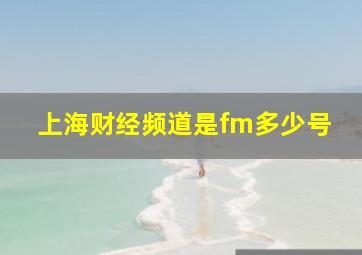 上海财经频道是fm多少号