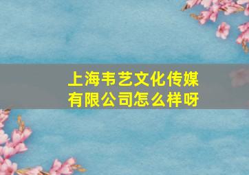 上海韦艺文化传媒有限公司怎么样呀