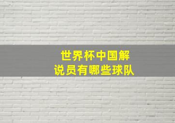 世界杯中国解说员有哪些球队