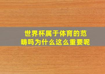 世界杯属于体育的范畴吗为什么这么重要呢