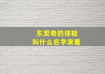 东契奇的球鞋叫什么名字来着