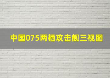 中国075两栖攻击舰三视图