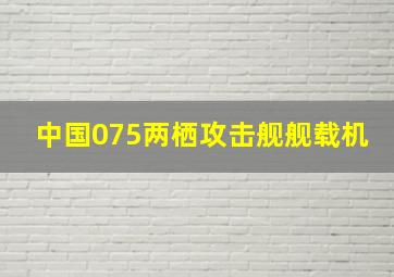 中国075两栖攻击舰舰载机